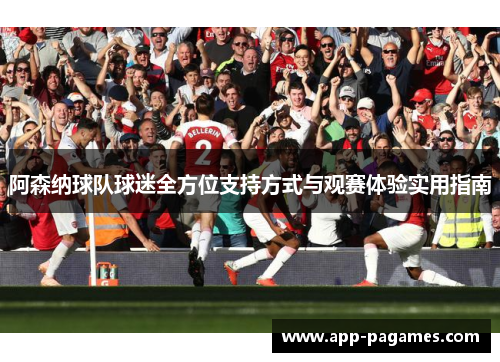 阿森纳球队球迷全方位支持方式与观赛体验实用指南